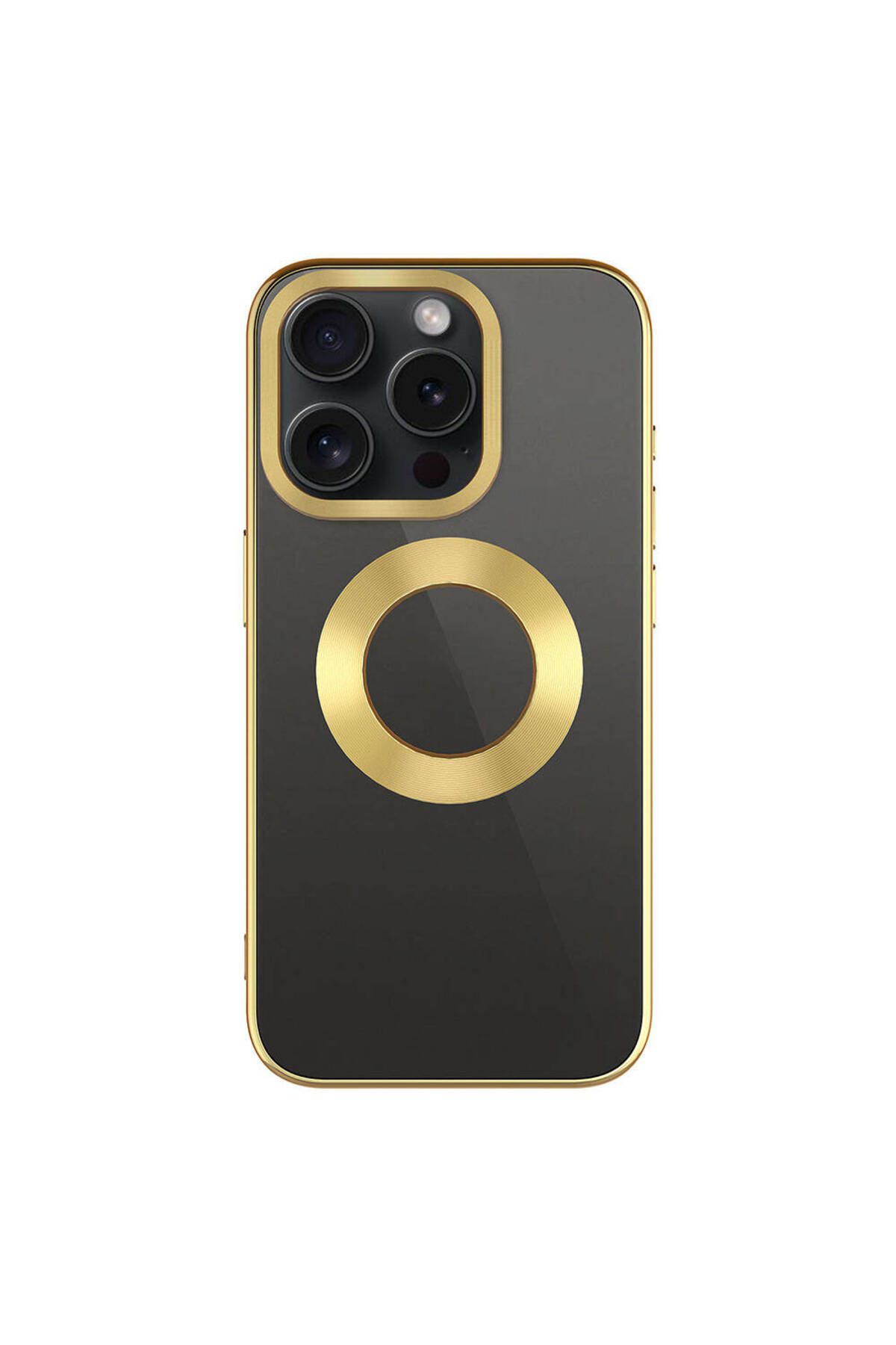 iPhone 15 Pro Uyumlu Tek Kamera Çerçeveli Logo Gösteren Zore Omega Kılıf-Titanyum