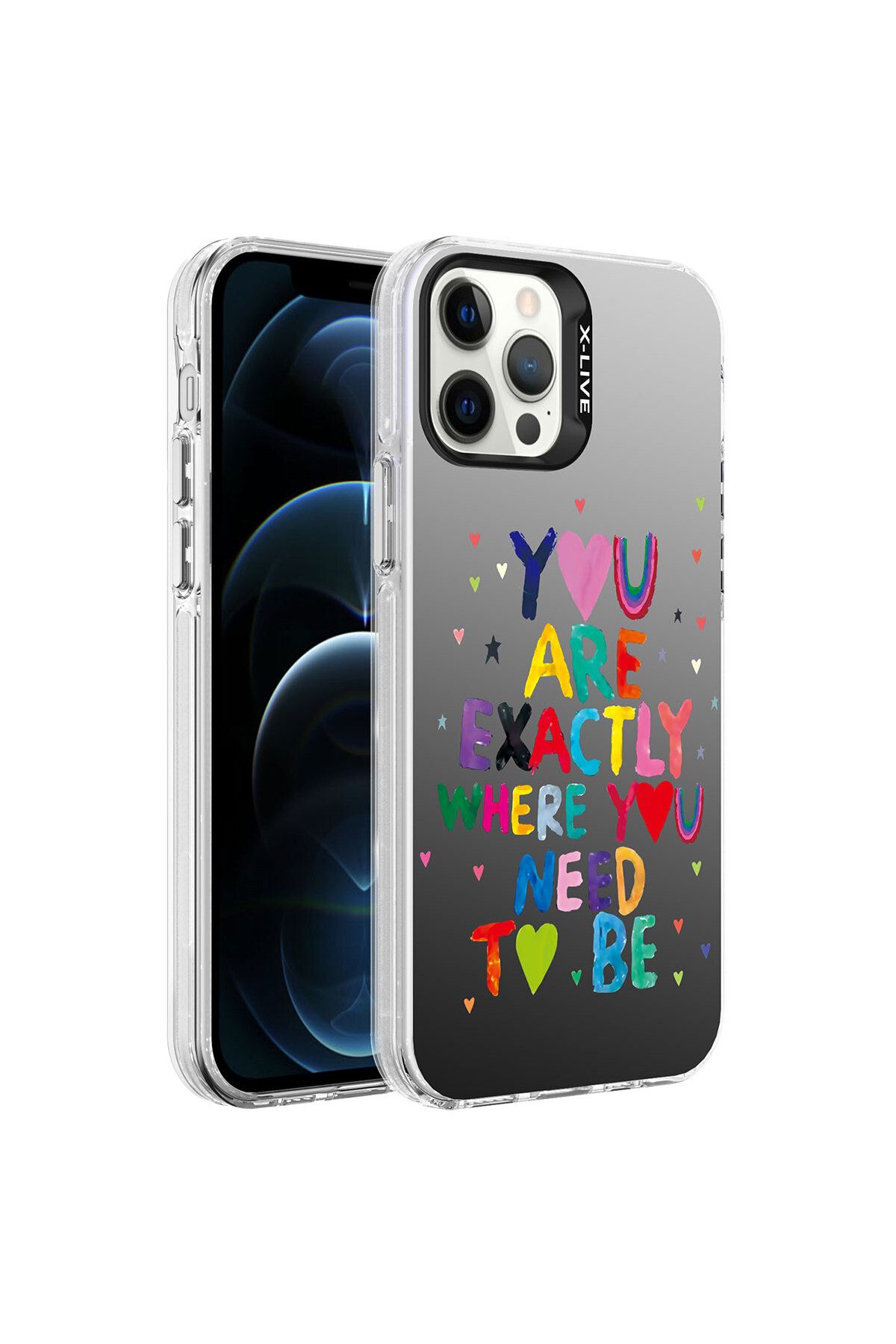iPhone 12 Pro Max Uyumlu Desenli Zore Silver Sert Kılıf-You